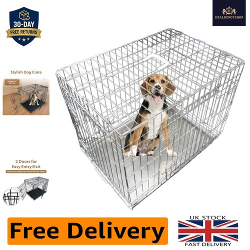 Secure small dog - secure,