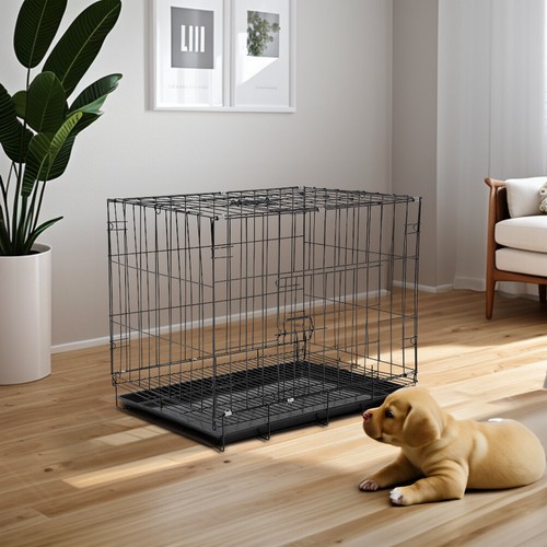 Small medium dog - small,