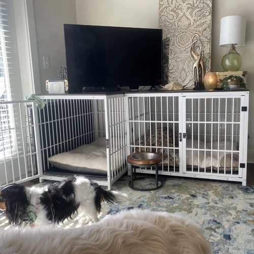 Indestructible dog crate - dog,