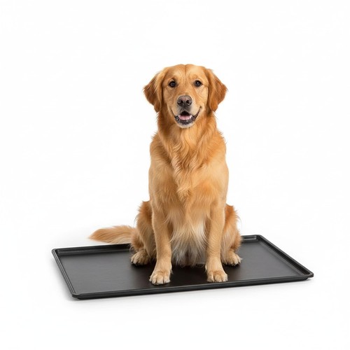 Replacement black plastic tray - plastic,